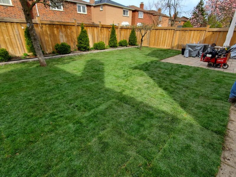 sodding-brampton